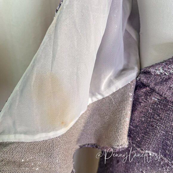 Rebecca Minkoff Sequined Ruffled Tank & Skirt Set - Picture 10 of 15